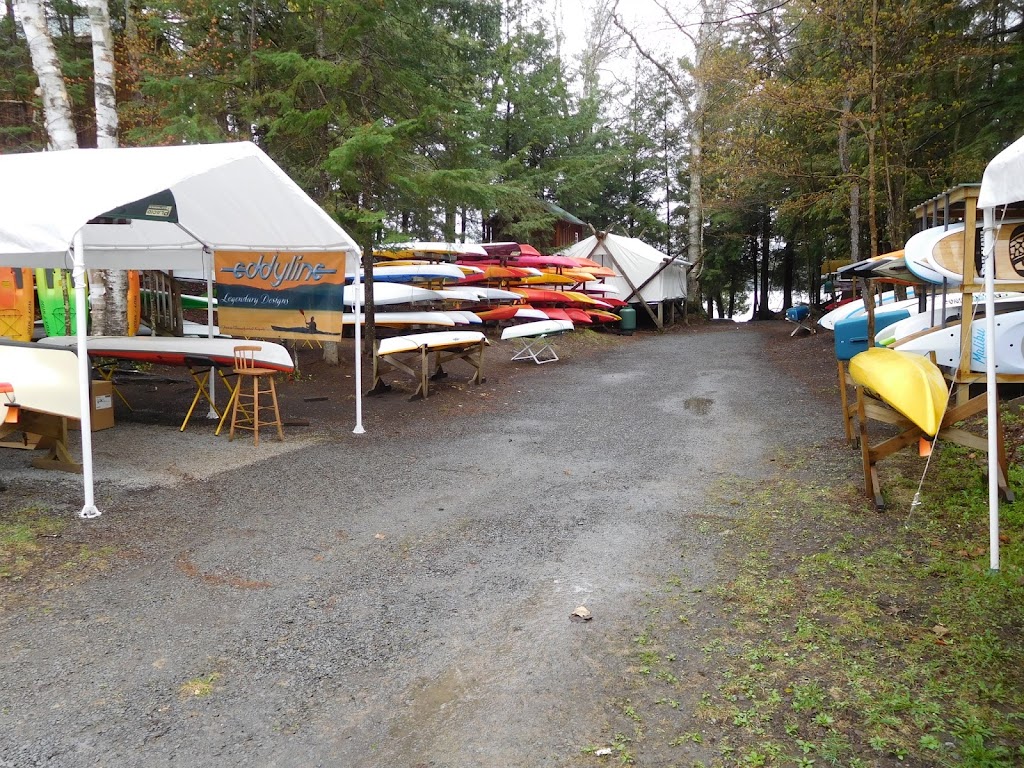 Frisky Otter Tours | 148 NY-28, Inlet, NY 13360, USA | Phone: (315) 357-3444