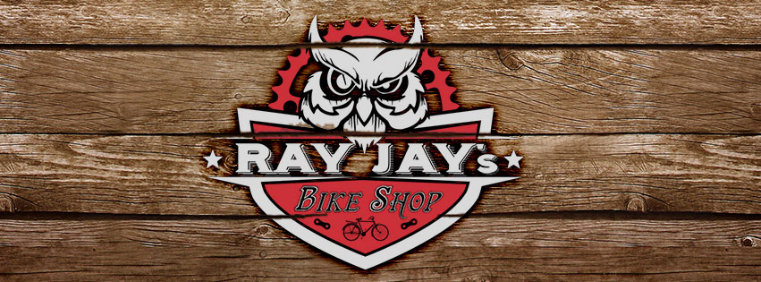 Ray Jays Bike Shop | 2430 N Davis Dr #112, Arlington, TX 76012, USA | Phone: (817) 200-7221