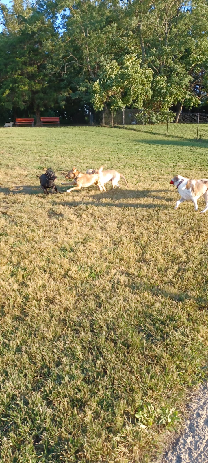 Vettiner Dog Park | Somer Rd, Louisville, KY 40299, USA | Phone: (502) 876-9416