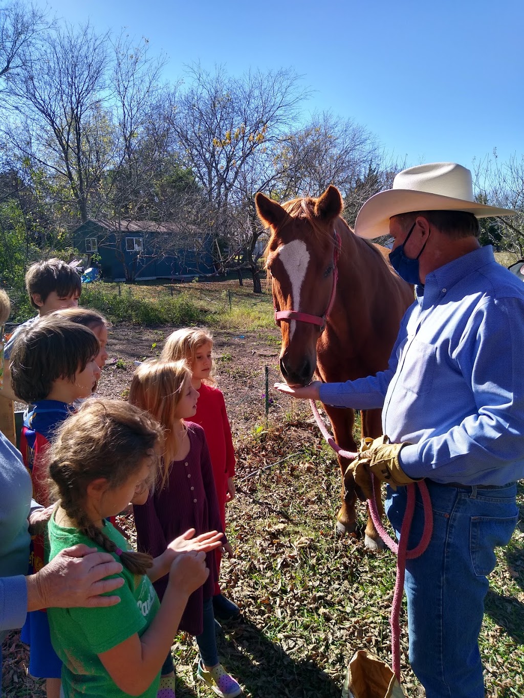 Nature School of Fairview | 340 Country Club Rd, Fairview, TX 75069, USA | Phone: (469) 352-3723