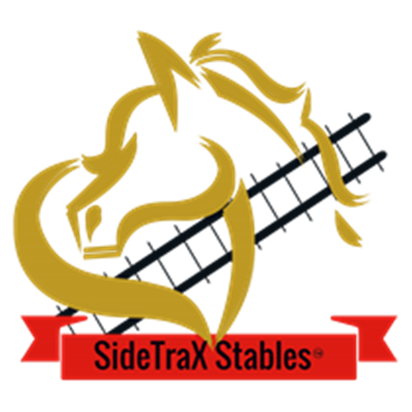 SideTraX Stables | 47621 Hull Rd, Belleville, MI 48111, USA | Phone: (734) 644-1791