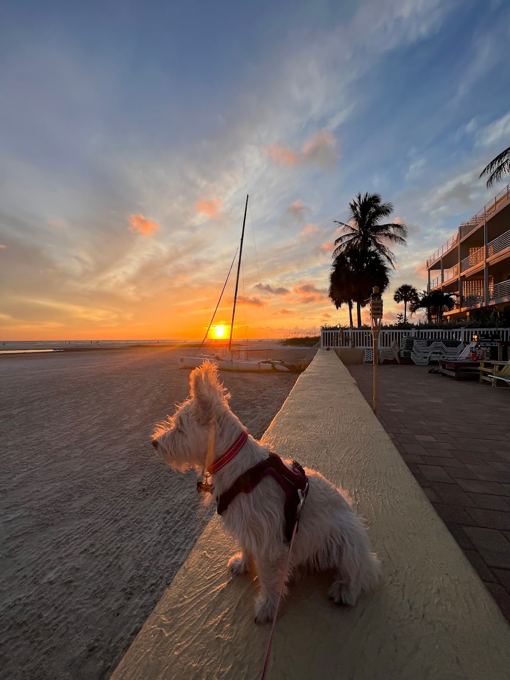 Sandbox On the Beach | 108 Beach Rd #2038, Sarasota, FL 34242, USA | Phone: (941) 346-0141