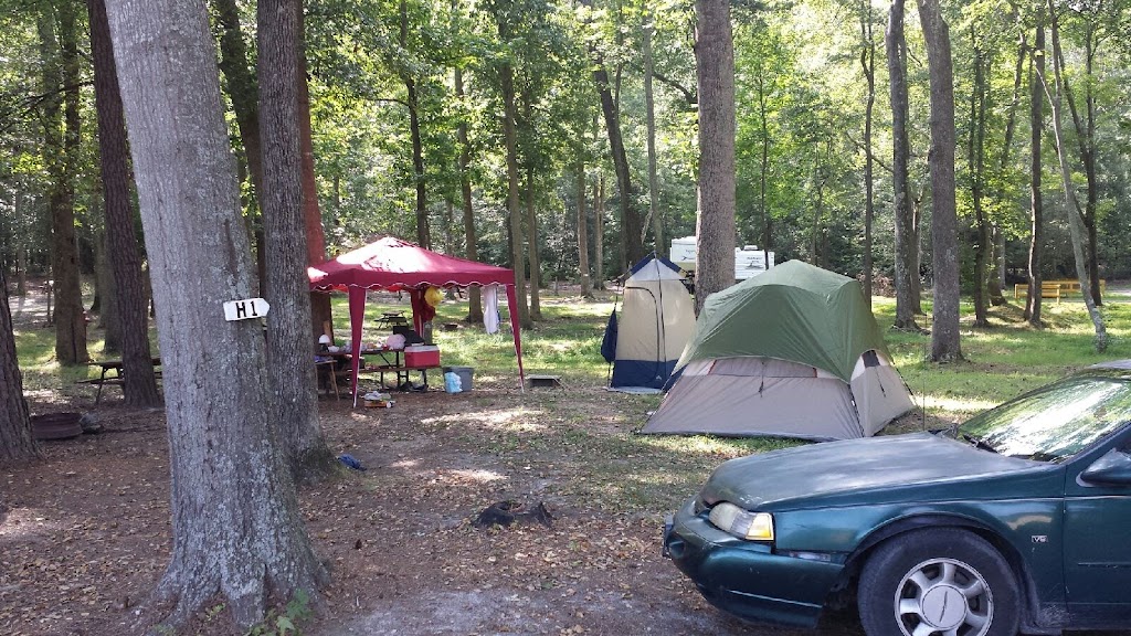 South 40 Campground | 2809 Courtland Rd, Petersburg, VA 23805, USA | Phone: (804) 732-8345