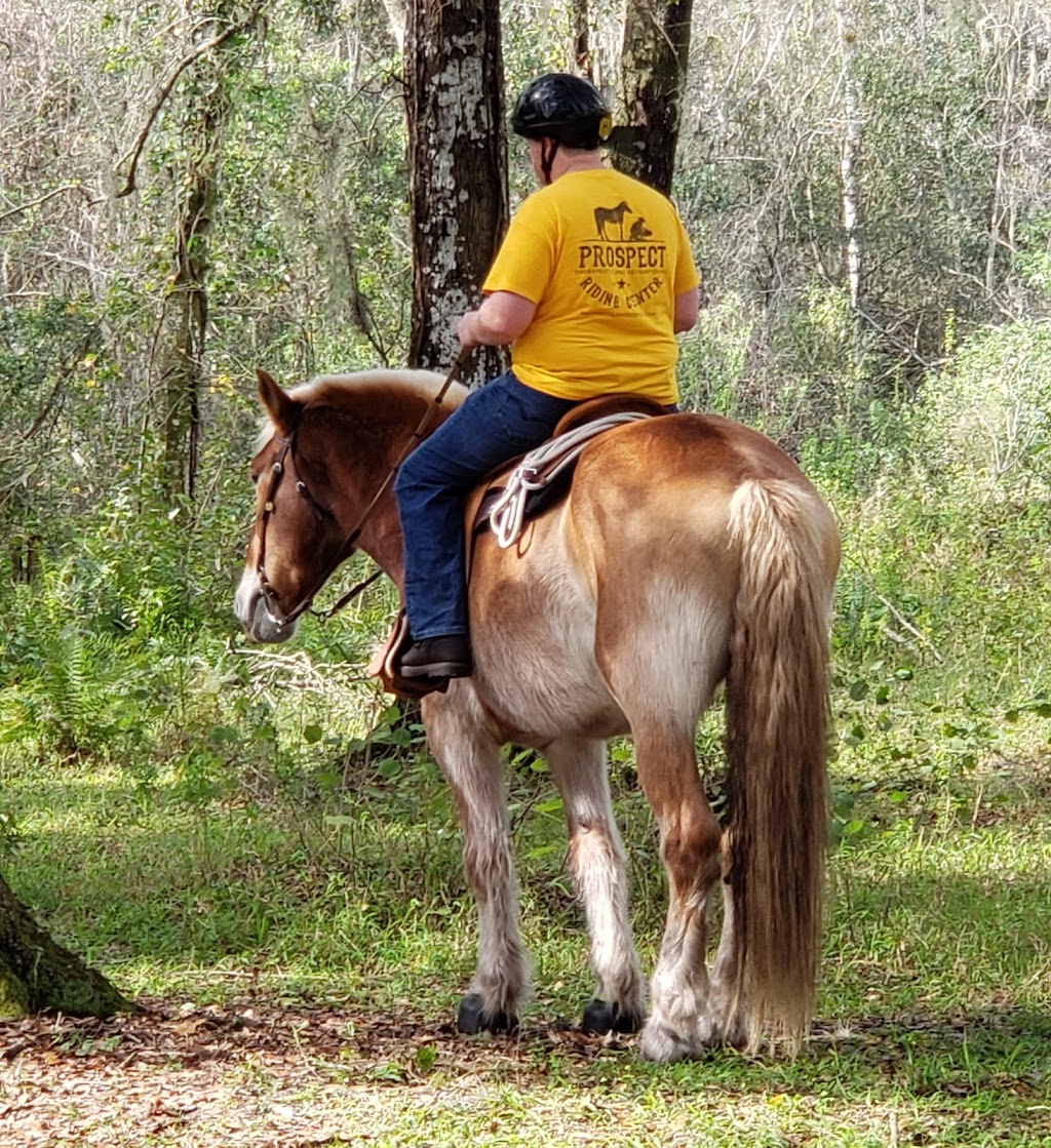 Prospect Riding Center | 34250 FL-70, Myakka City, FL 34251, USA | Phone: (941) 713-1736