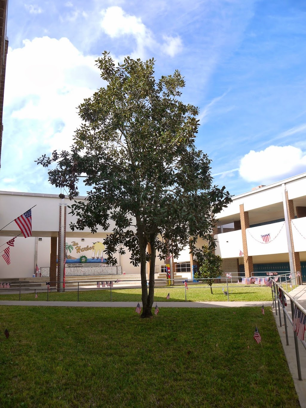 Palm Harbor Middle School | 1800 Tampa Rd, Palm Harbor, FL 34683, USA | Phone: (727) 669-1146