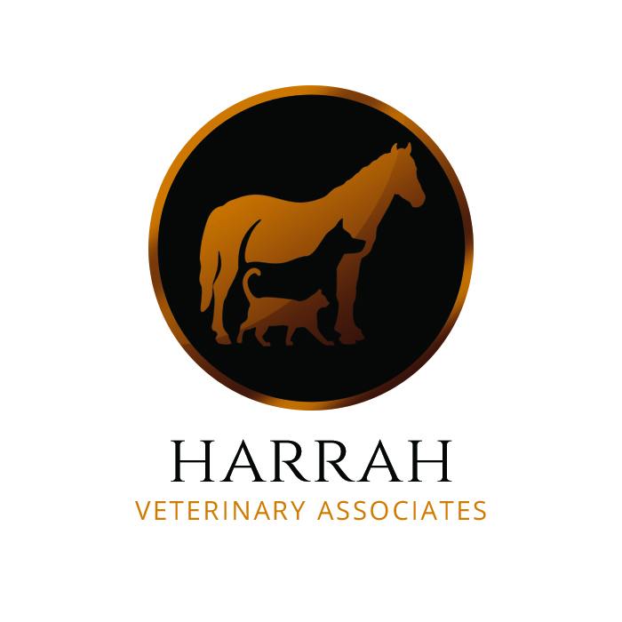 Harrah Veterinary Associates | 20000 NE 10th St, Harrah, OK 73045, USA | Phone: (405) 454-2401