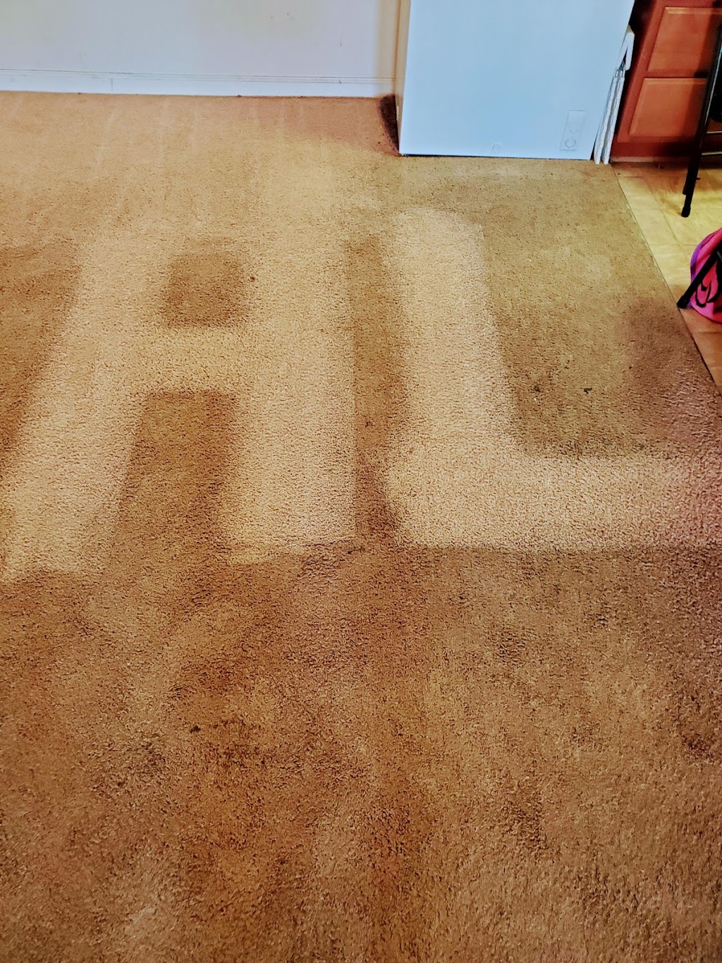 HL CARPET CLEANING LLC | 9 Wooded Hill Dr, Hampton, VA 23669, USA | Phone: (757) 582-3154