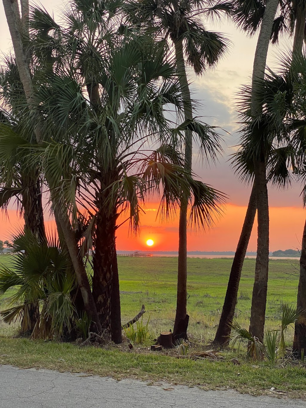 Myakka River State Park - Foxs Low Road Trail Head | Myakka State Park Rd, Sarasota, FL 34240, USA | Phone: (941) 361-6511