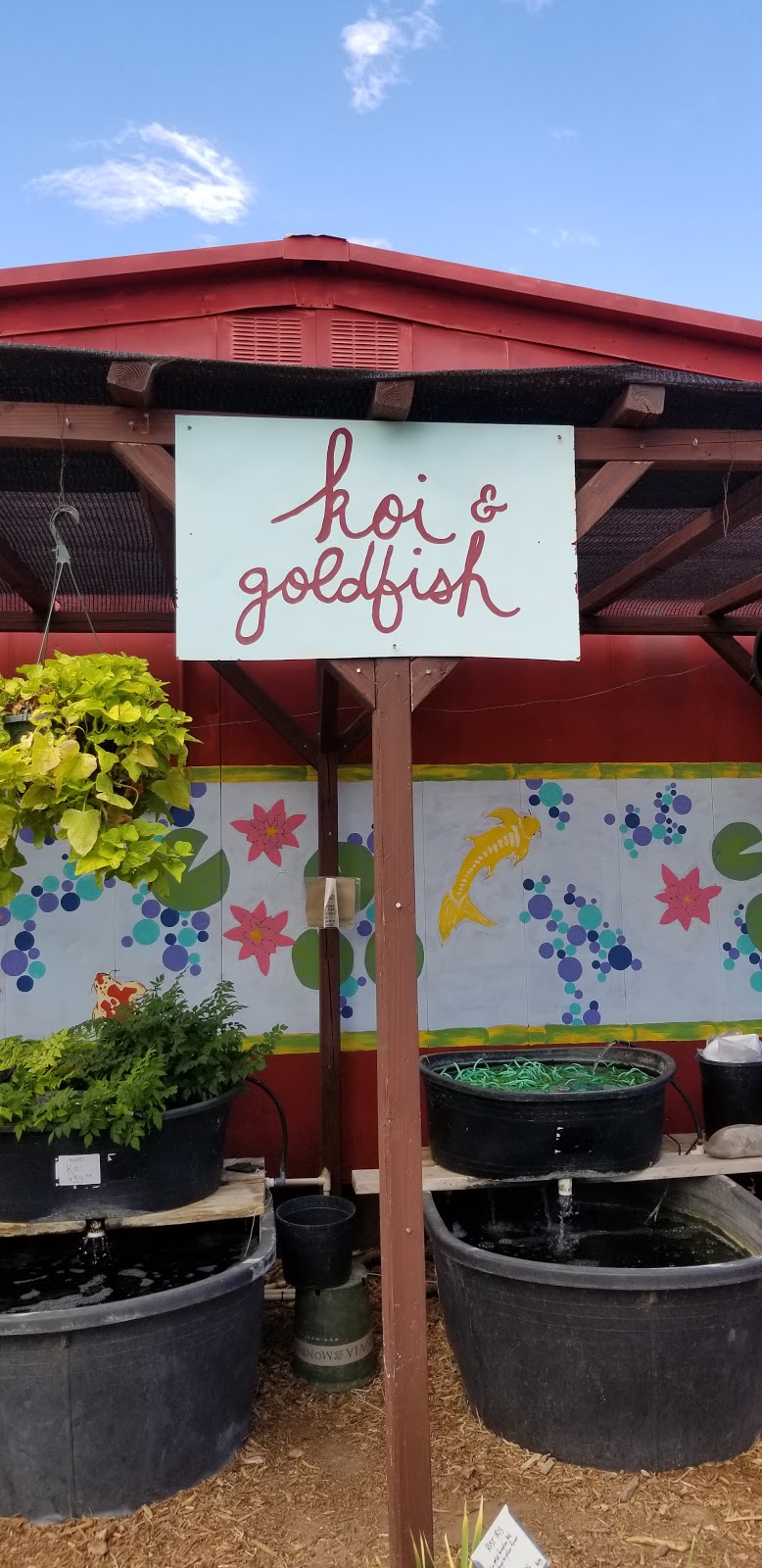 Albuquerque Water Gardens & Nursery | 1800 Candelaria Rd NW, Albuquerque, NM 87107, USA | Phone: (505) 246-8278