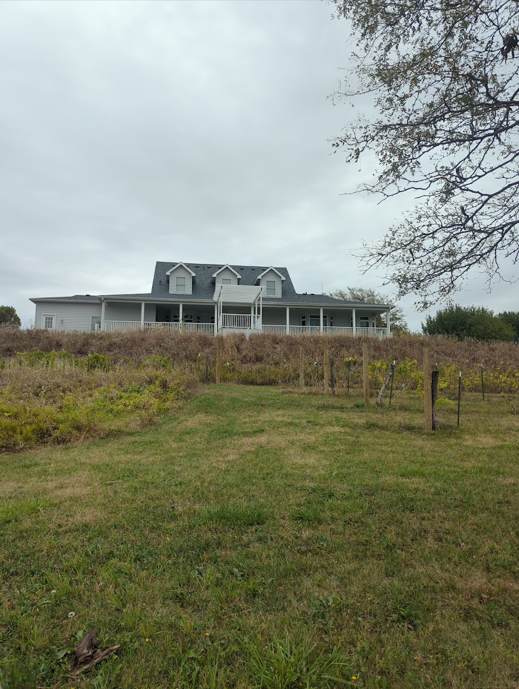 Front Porch Vineyards | 72351 608 Ave, Crab Orchard, NE 68332, USA | Phone: (402) 806-3164