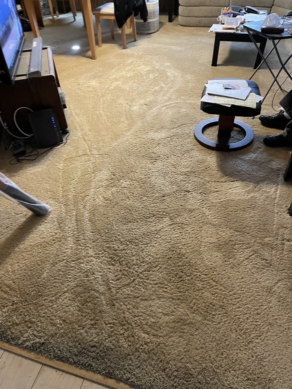 Industrial Carpet & Upholstery Cleaning | 13040 Wentworth St, Arleta, CA 91331 | Phone: (818) 968-5695