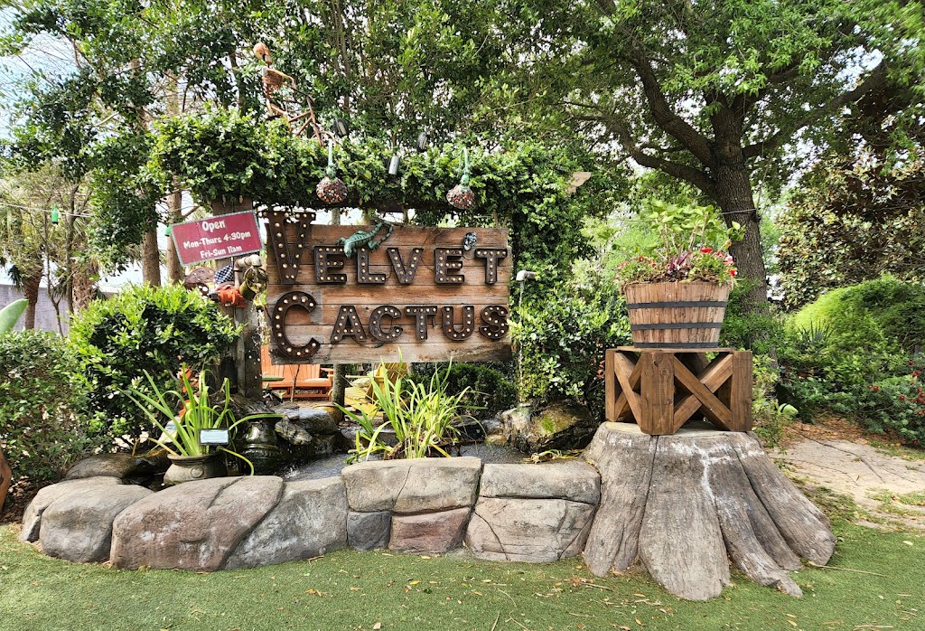 The Velvet Cactus | 6300 Argonne Blvd, New Orleans, LA 70124, USA | Phone: (504) 301-2083