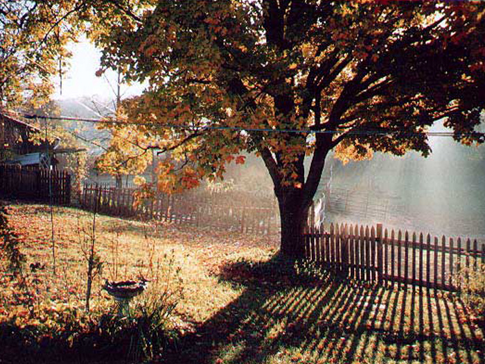 Meadowlark Farm Bed and Breakfast Warwick NY | 180 Union Corners Rd, Warwick, NY 10990, USA | Phone: (845) 651-4286