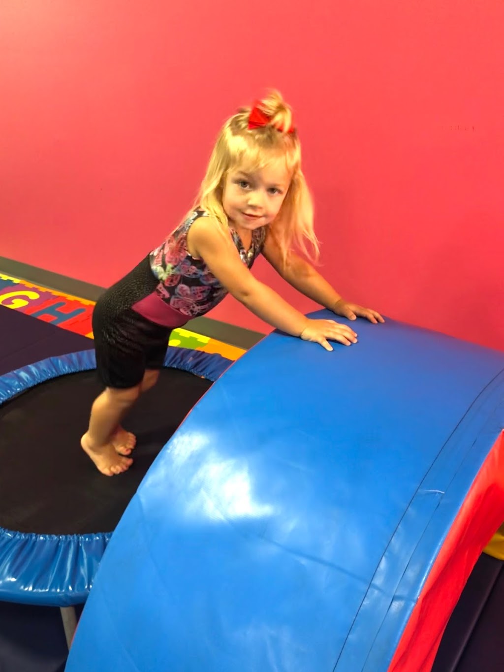 The Gym Nest Gymnastics and Preschool | 17 N Fisher Park Way, Eagle, ID 83616, USA | Phone: (208) 278-2011