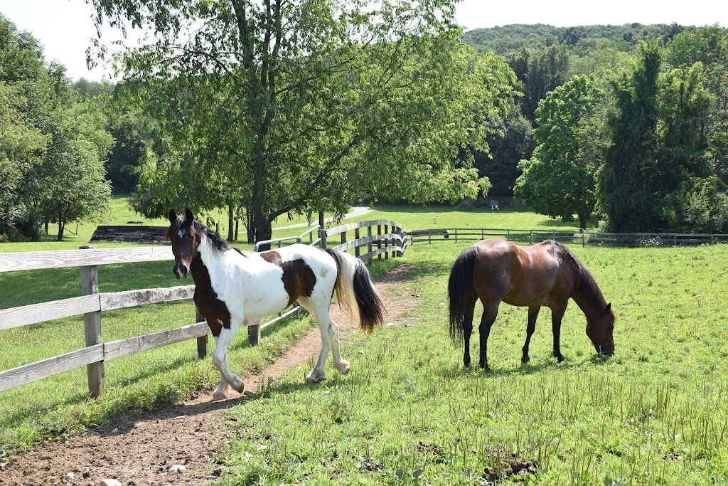 Circle G Ranch NY | 2054 County Rd 83, Pine Plains, NY 12567, USA | Phone: (518) 398-1034