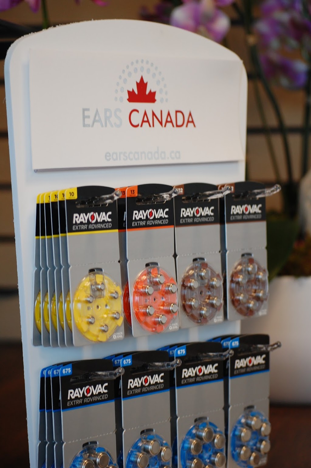 Ears Canada | 1338 Fourth Ave Suite S211, St. Catharines, ON L2S 0G1, Canada | Phone: (905) 682-3277