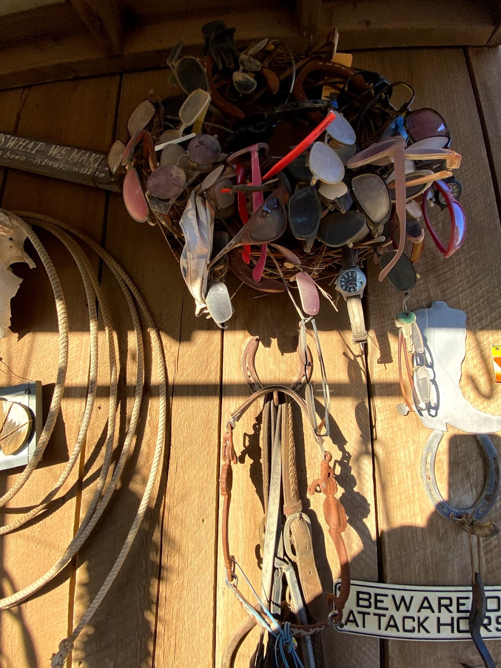 Broken Saddle Riding Co | 26 Vicksville Rd, Los Cerrillos, NM 87010, USA | Phone: (505) 424-7774