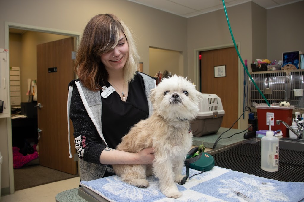 Metropolitan Veterinary Center | 36759 Mound Rd, Sterling Heights, MI 48310, USA | Phone: (586) 726-5200