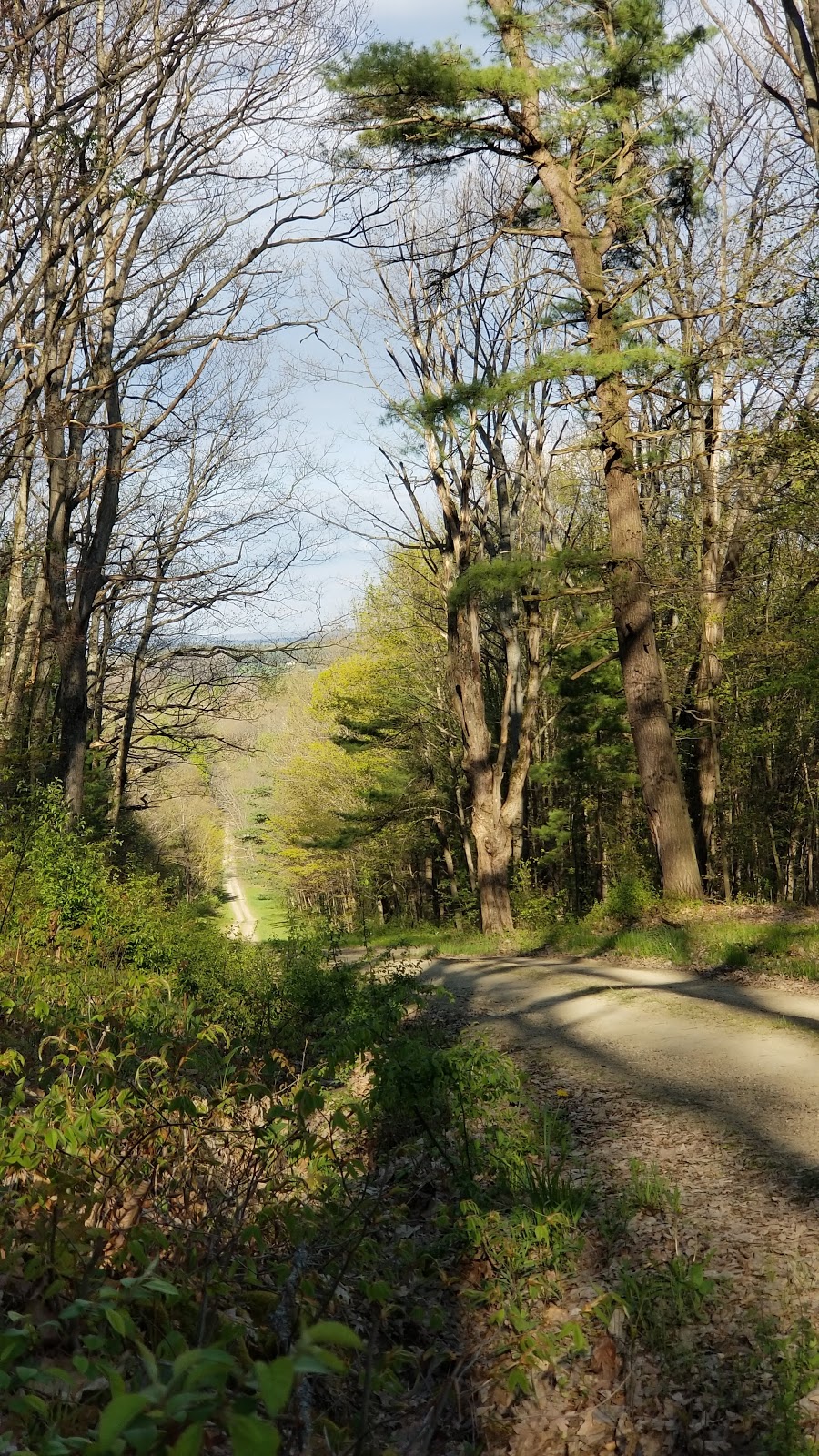 Hanging Bog Wildlife Management Area | Caneadea, NY 14717, USA | Phone: (716) 372-0645