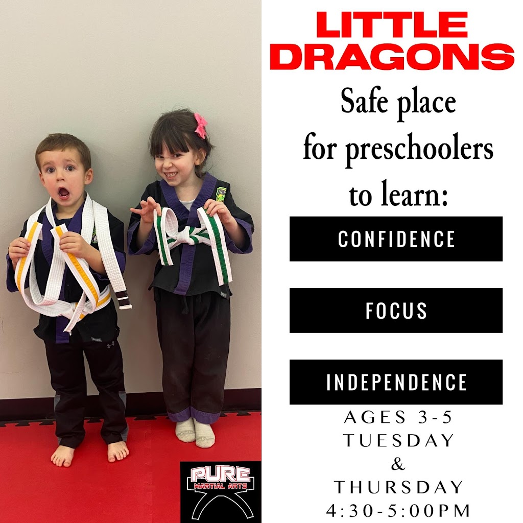 Pure Martial Arts | 11747 Statesville Blvd, Cleveland, NC 27013, USA | Phone: (704) 433-6308