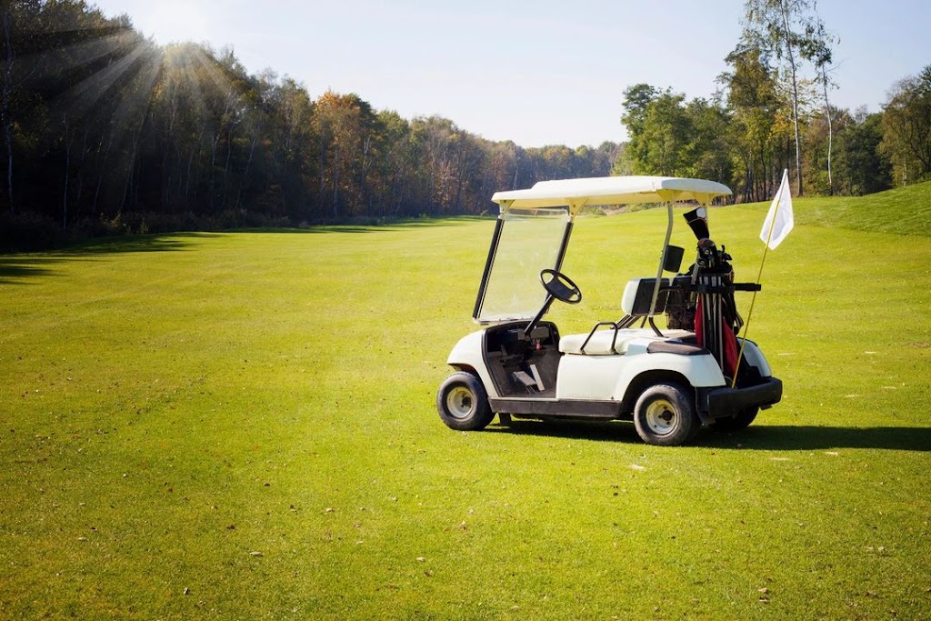 A-Z Golf Cart Specialist | 14975 La Palma Dr, Chino, CA 91710, USA | Phone: (909) 606-3450