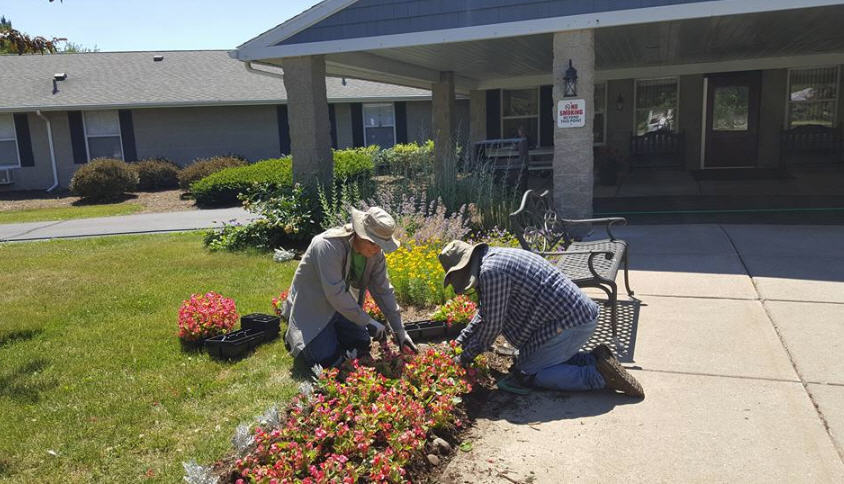 Springcreek Rehabilitation and Nursing Center | 130 Sand Creek Hwy, Adrian, MI 49221, USA | Phone: (517) 265-6554