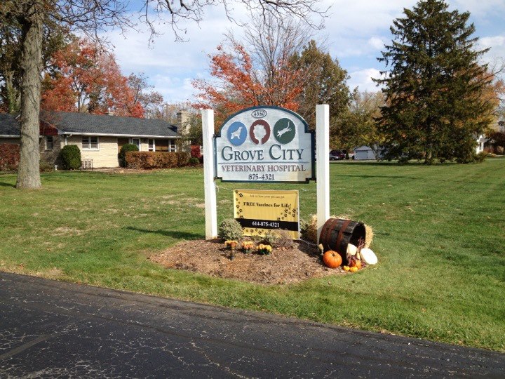 THE Grove City Veterinary Hospital | 4350 Grove City Rd, Grove City, OH 43123, USA | Phone: (614) 875-4321