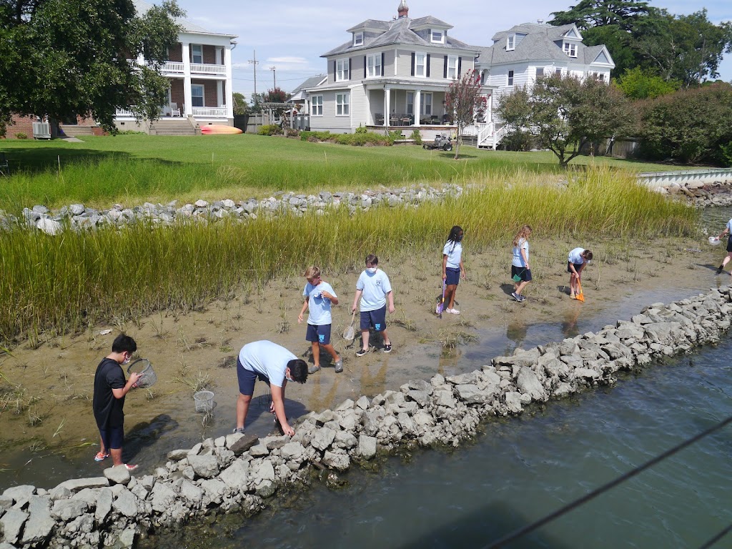 Saint Mary Star of the Sea School | 14 N Willard Ave, Hampton, VA 23663, USA | Phone: (757) 723-6358