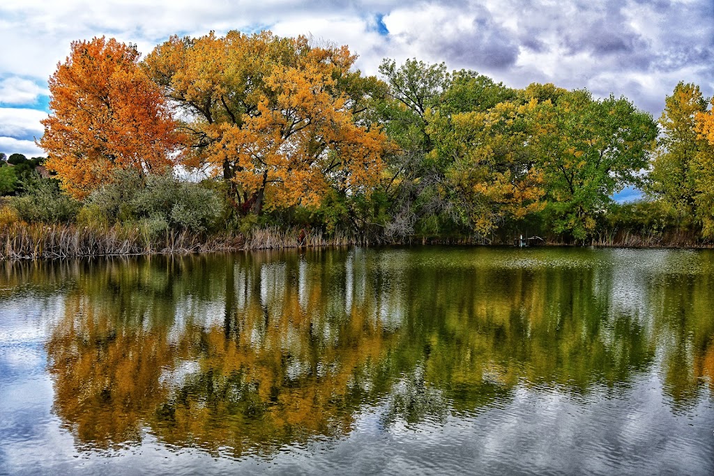 Leonora Curtin Wetland Preserve | 49A W Frontage Rd, Santa Fe, NM 87507, USA | Phone: (505) 471-2261