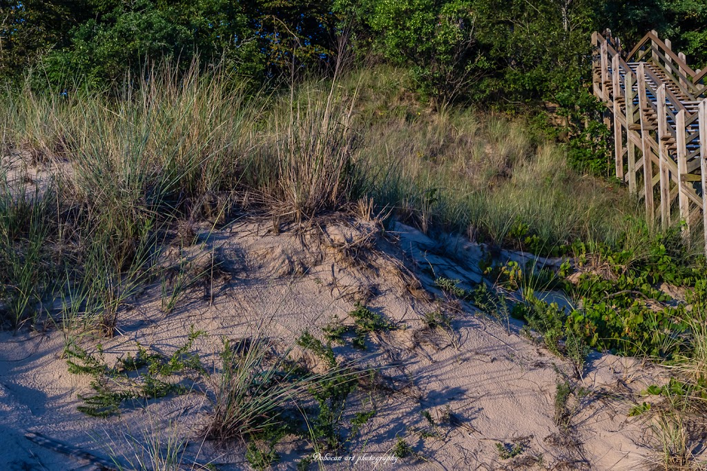 Indiana Dunes National Park West Beach Trail | W Beach Rd, Gary, IN 46403 | Phone: (219) 926-2255