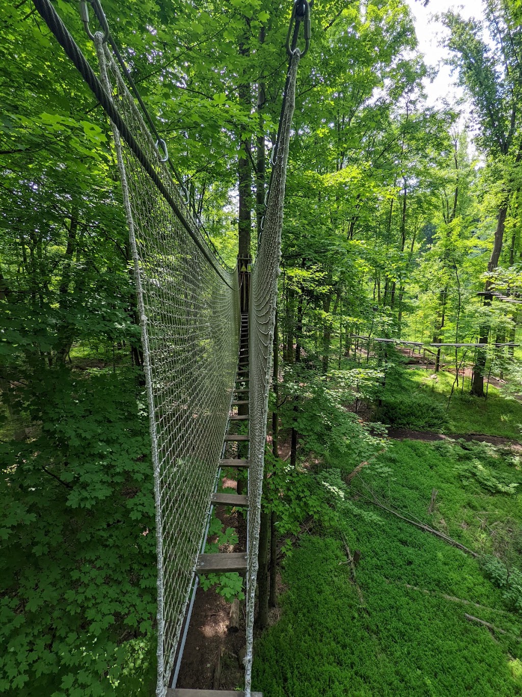 Go Ape Zipline and Adventure Park | 16200 Valley Pkwy, Strongsville, OH 44136, USA | Phone: (800) 971-8271