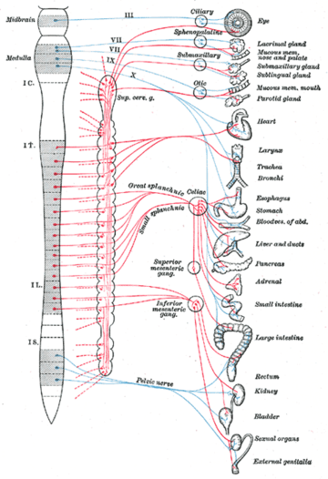 Foundation Chiropractic | 3170 W Carefree Hwy Suite 5, Phoenix, AZ 85086, USA | Phone: (623) 587-9036