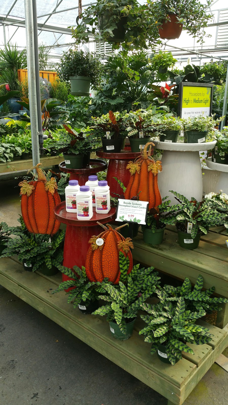 Pike Nurseries | 2475 Towne Lake Pkwy, Woodstock, GA 30189 | Phone: (770) 926-3252