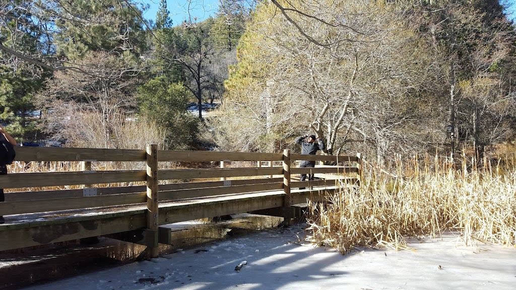 UC James San Jacinto Mountain Reserve | 20950 Banning-Idyllwild Panoramic Highway, 20950 HWY 243 - Lake Fulmor, Idyllwild-Pine Cove, CA 92549, USA | Phone: (951) 827-6835