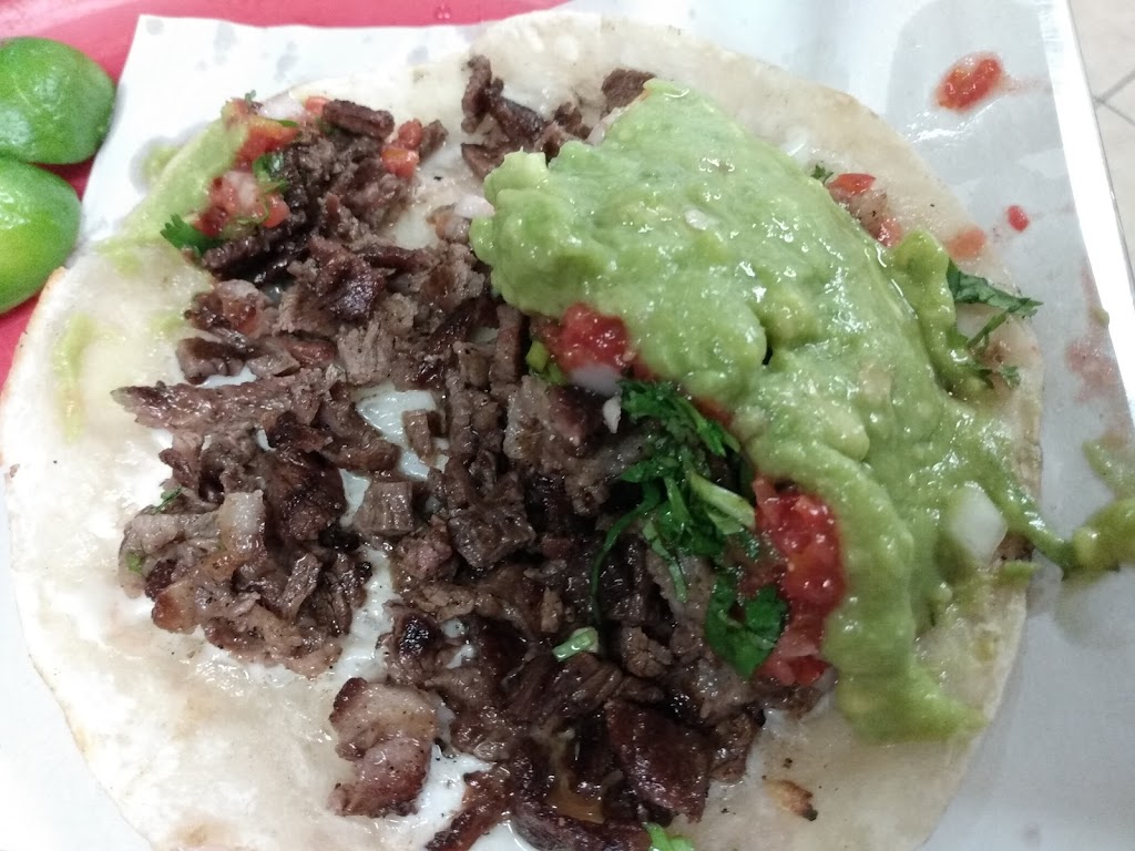 Tacos Chely | Blvd. Diaz Ordaz 153, Los Reyes, 22124 Tijuana, B.C., Mexico | Phone: 664 879 4646