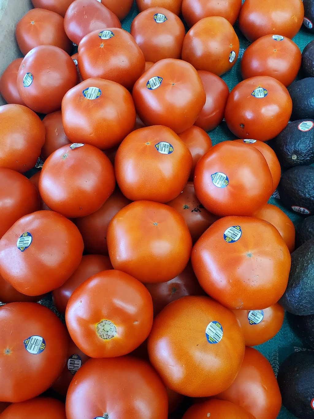 Platanos Power | 13438 US-19, Port Richey, FL 34667, USA | Phone: (727) 378-4214