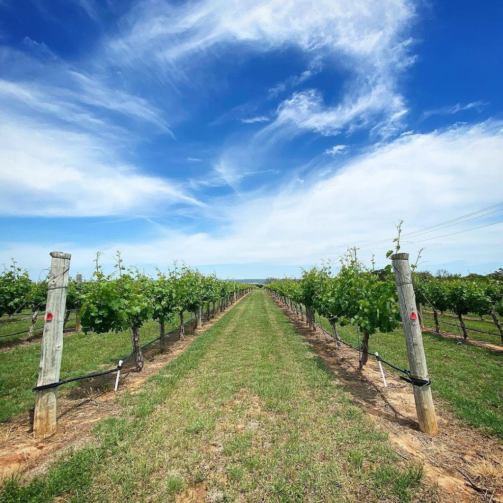 Hamilton Pool Vineyards | 25711 Hamilton Pool Rd, Dripping Springs, TX 78663, USA | Phone: (512) 400-4173