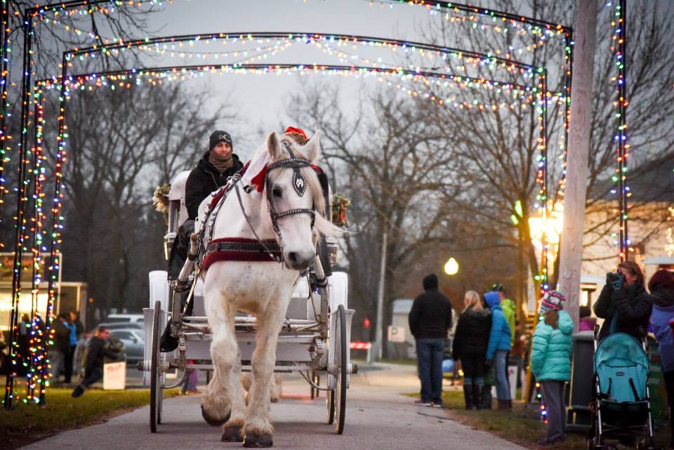 Camelot Carriage Rides | 8655 Winchester Rd, Decatur, IN 46733, USA | Phone: (260) 223-2417