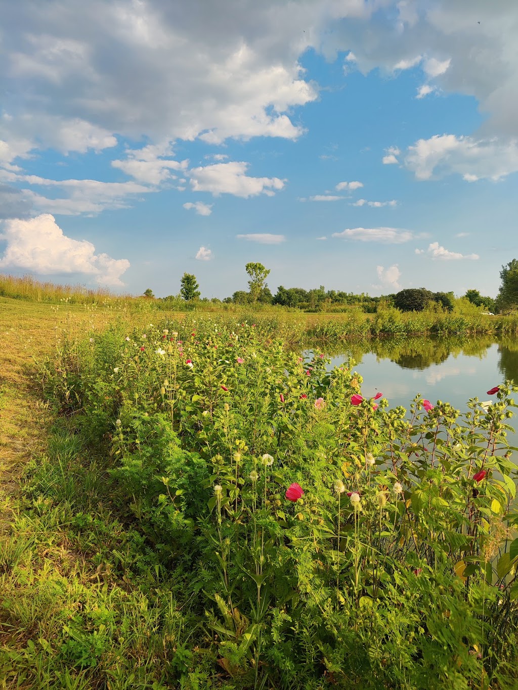 Beckett Park West Shelter | M5610003000013, West Chester Township, OH 45069, USA | Phone: (513) 759-7303