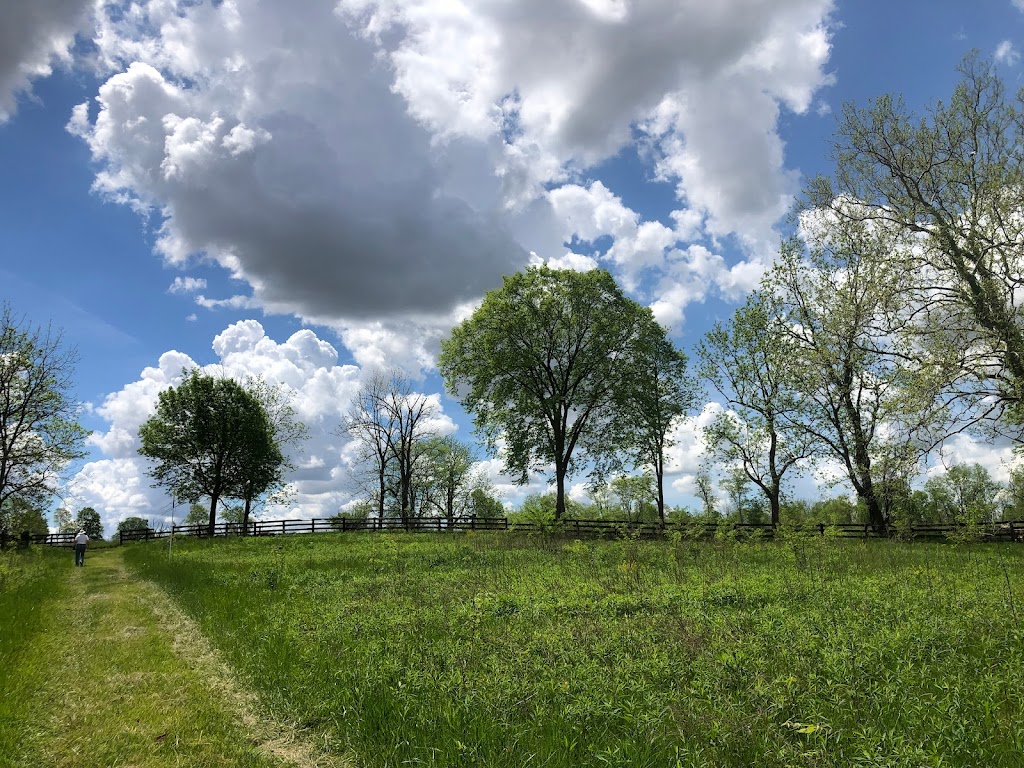 Todd Fork Nature Preserve | 1703 Co Rd 3, Wilmington, OH 45177, USA | Phone: (513) 752-2828