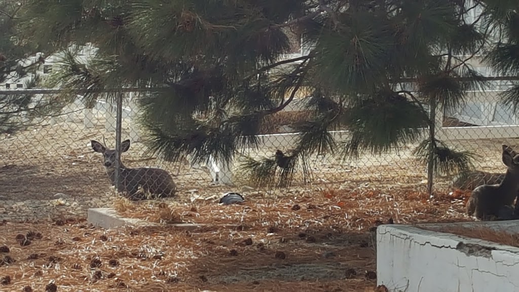 Genoa Cemetery | Genoa, NV 89411, USA | Phone: (775) 720-1627