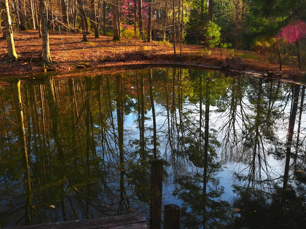 The Yurt at Frog Pond Farm | 2800 Austin Quarter Rd, Graham, NC 27253 | Phone: (336) 212-1588