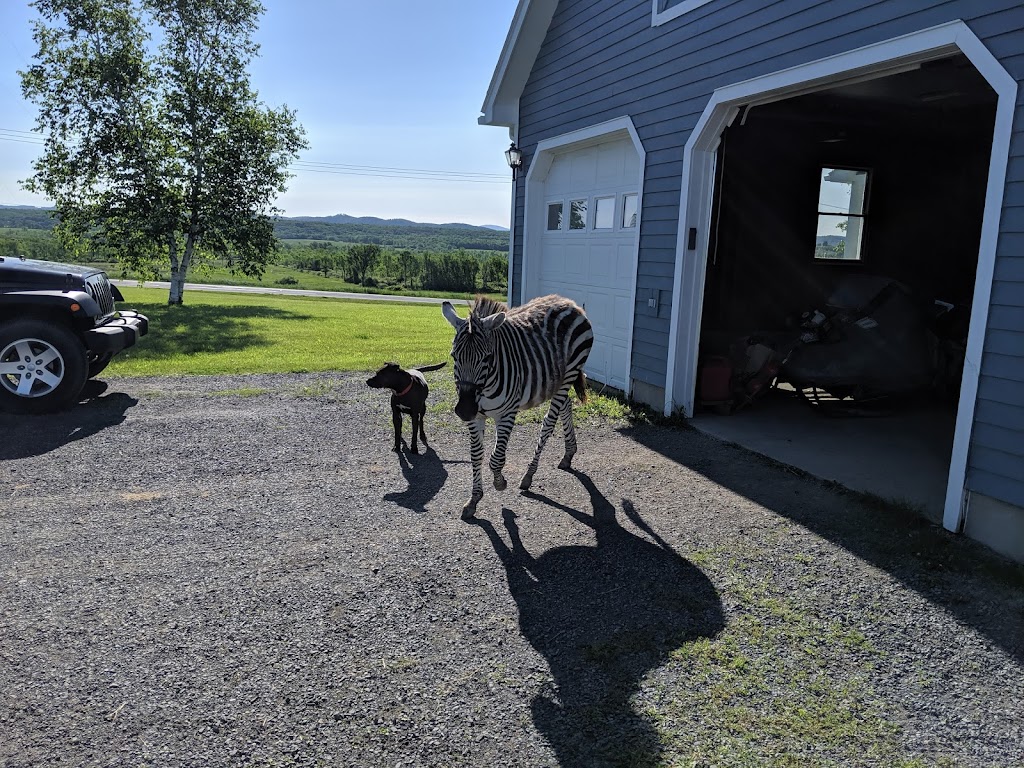 Vertical Farm | 10140 NY-149, Fort Ann, NY 12827, USA | Phone: (518) 588-5750