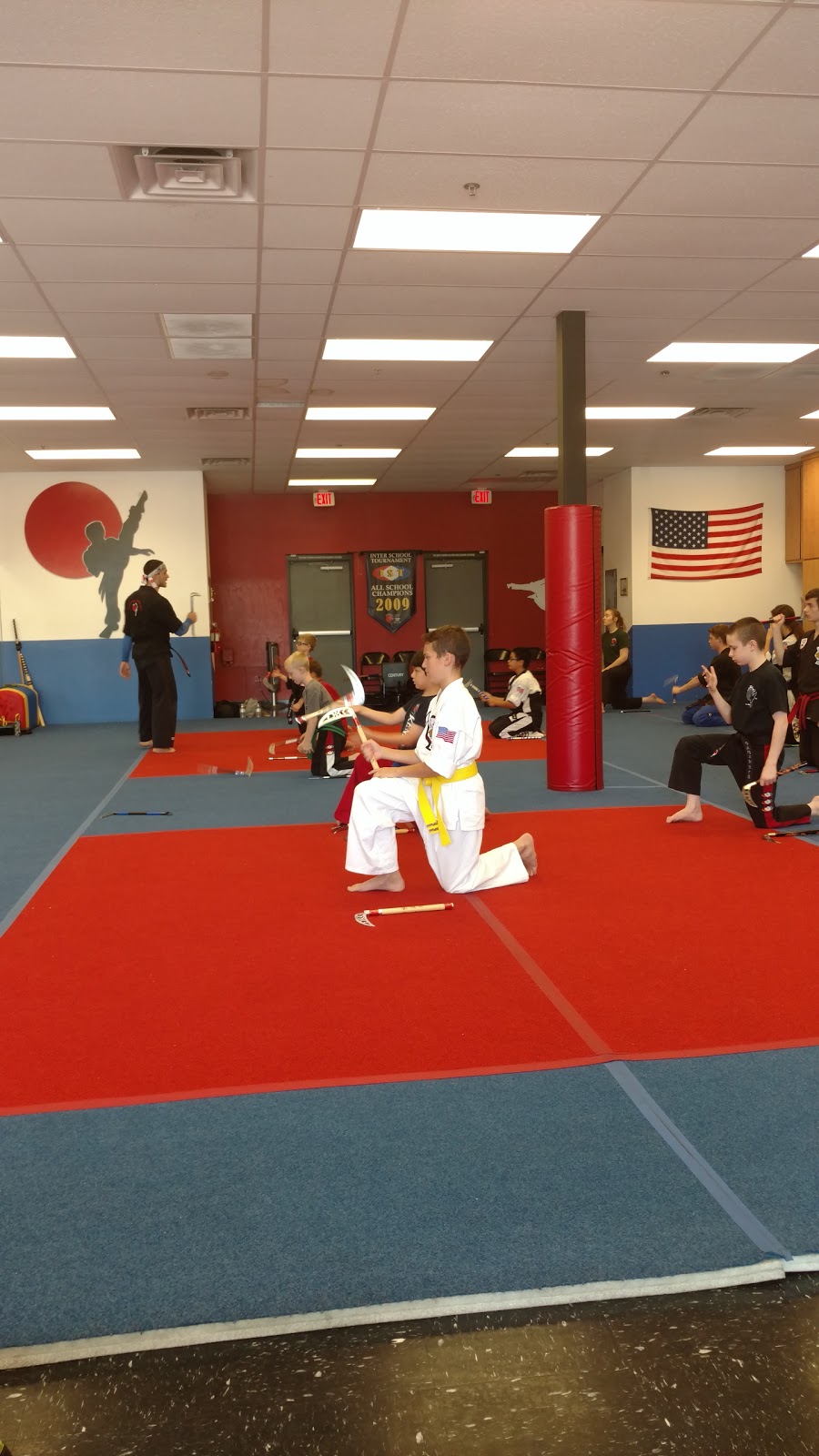 DePalmas Team USA Martial Arts | 2727 E McKellips Rd, Mesa, AZ 85213, USA | Phone: (480) 892-3949