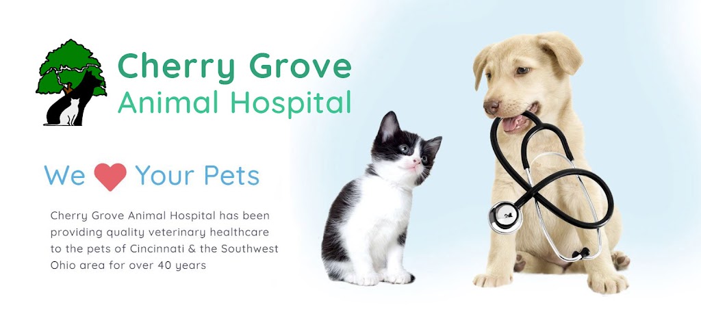 Cherry Grove Animal Hospital | 8407 Beechmont Ave, Cincinnati, OH 45255, USA | Phone: (513) 474-4111