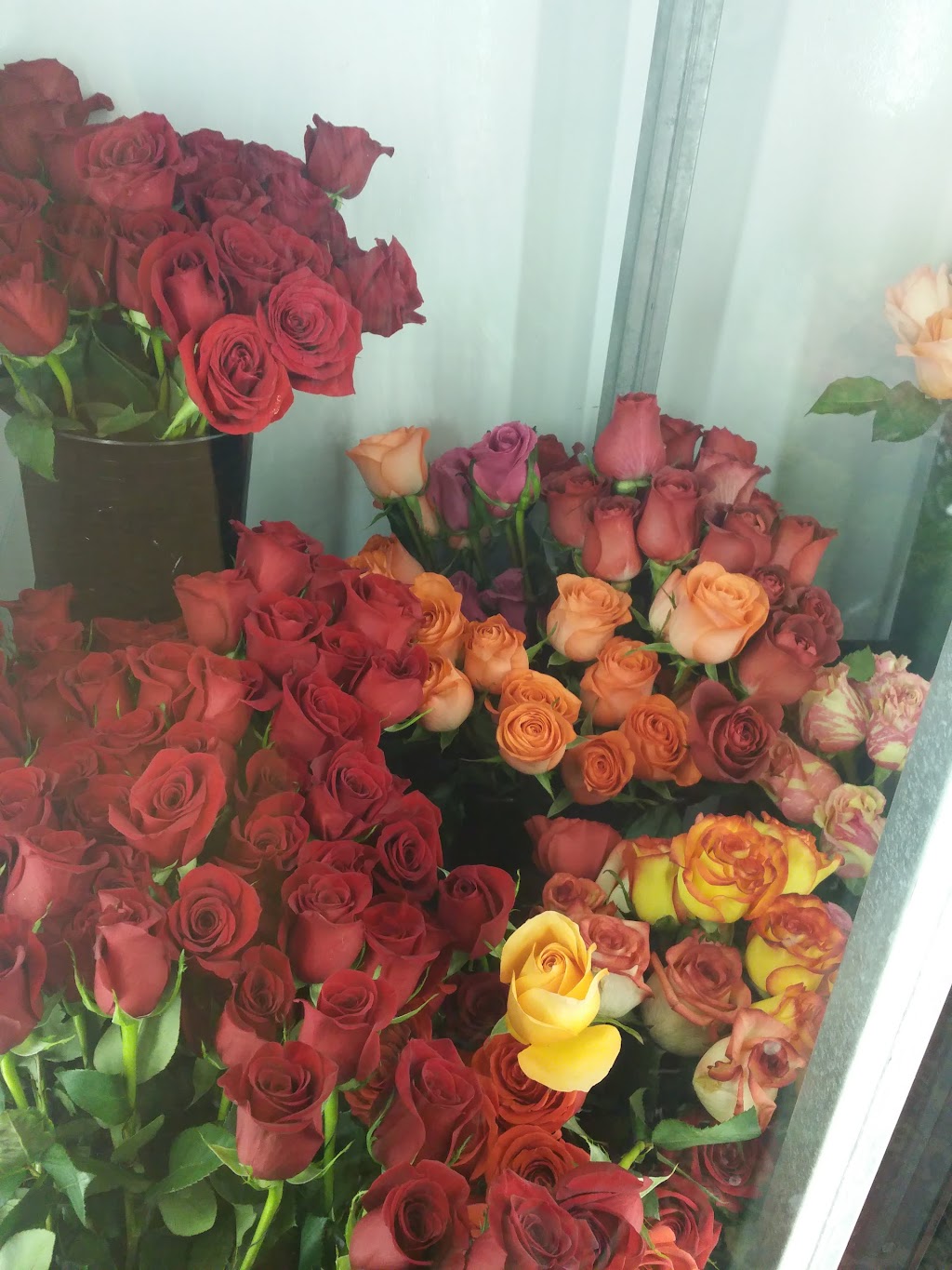 Bill OSheas Florist & Gifts - Hasbrouck Heights and Northern NJ Florist | 231 Boulevard, Hasbrouck Heights, NJ 07604, USA | Phone: (201) 288-2300
