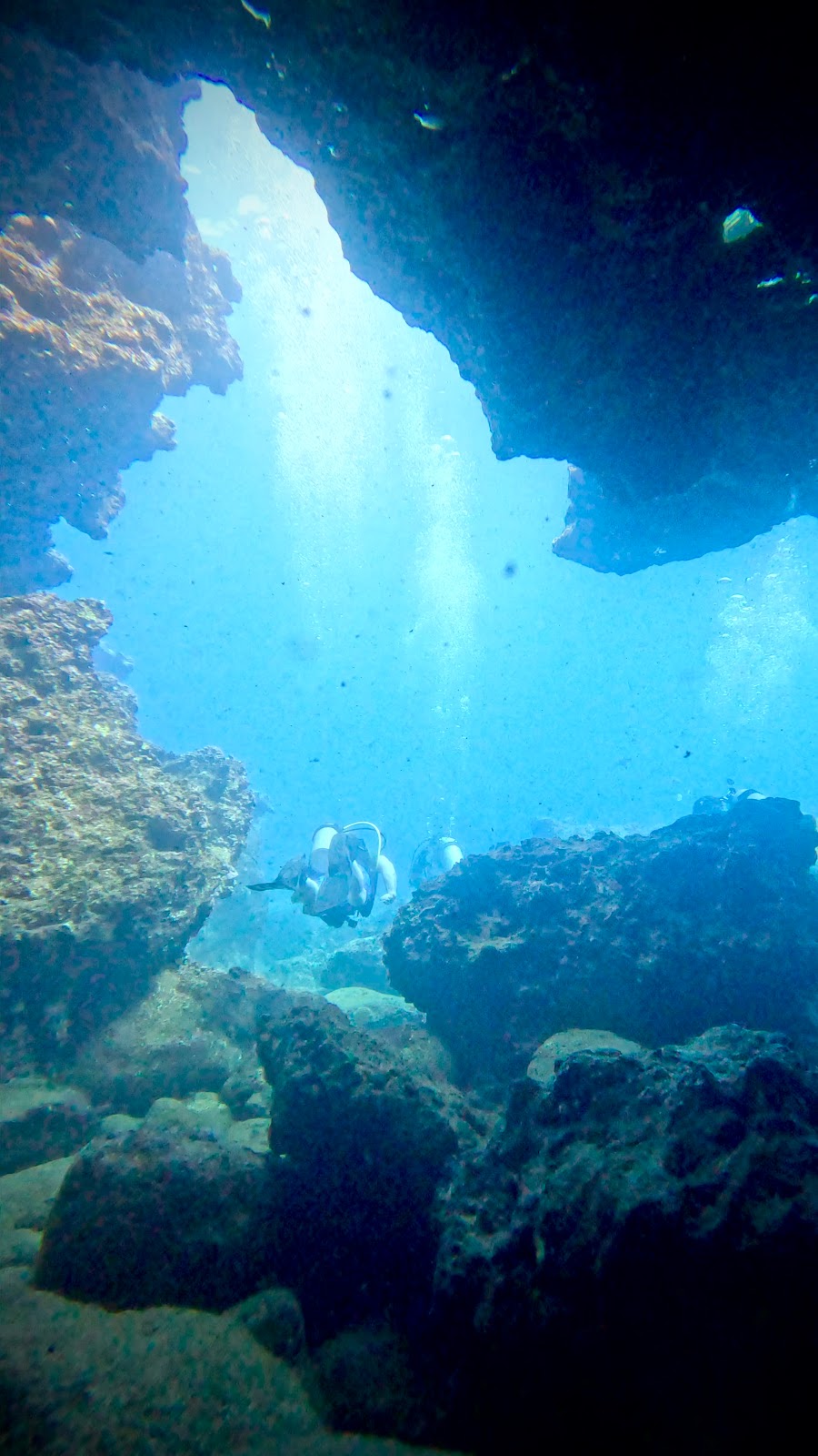 Hawaii Eco Divers | 66-165 Kamehameha Hwy, Haleiwa, HI 96712, USA | Phone: (808) 499-9177