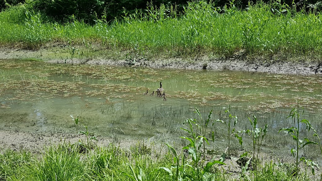 Miami-Erie Canal Bike Path Trail Head at Seward Road | 8322 Seward Rd, Fairfield, OH 45015, USA | Phone: (513) 867-5348