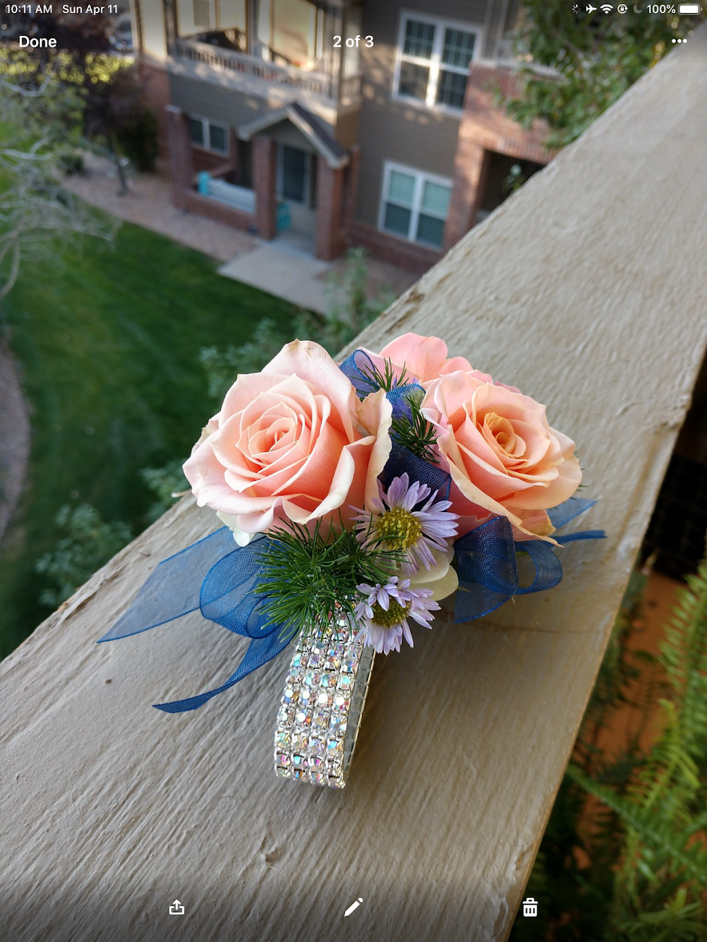 Hollie and Pine Floristry | 12920 Ironstone Way, Parker, CO 80134, USA | Phone: (303) 909-6590