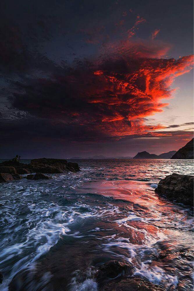 Pams All Breed Pet Grooming | 5625 Watauga Rd A, Watauga, TX 76148, USA | Phone: (817) 281-2424